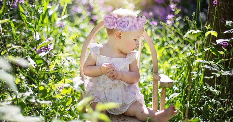 Pixabay/JillWellington